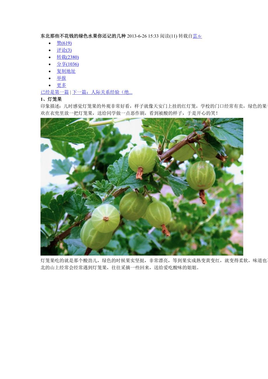 东北那些不花钱的绿色水果你还记的几种_第1页