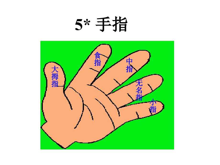 人教版六年级语文下册《手指》课件20130312_第2页