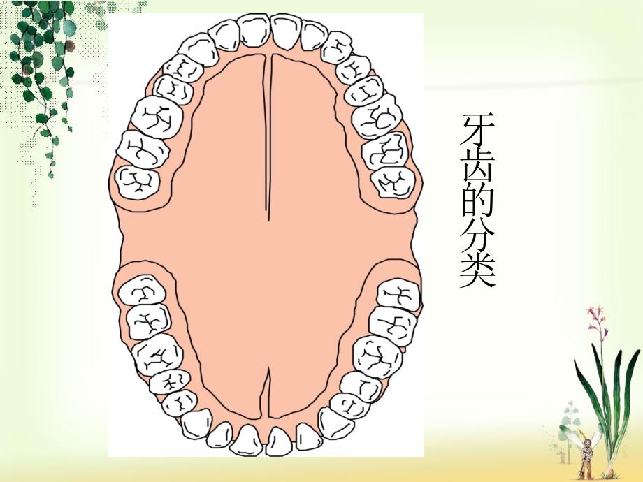 你不能不知道的口腔知识_第3页