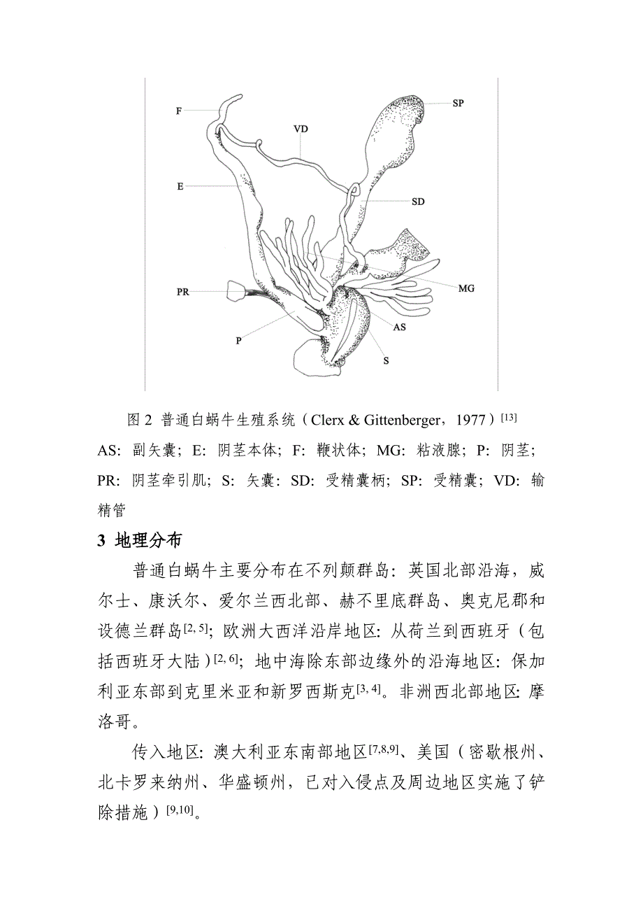 普通白蜗牛鉴定资料_第4页