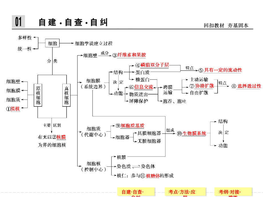 【创新设计】2014高考生物二轮专题突破课件：细胞的基本结构与物质出入细胞的方式(55张PPT)_第2页