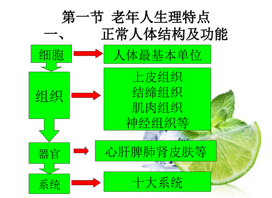 养老护理员培训老年人护理基础知识(2)_第4页