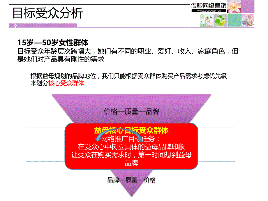 益母产品网络营销年度方案-传驰网络营销_第4页