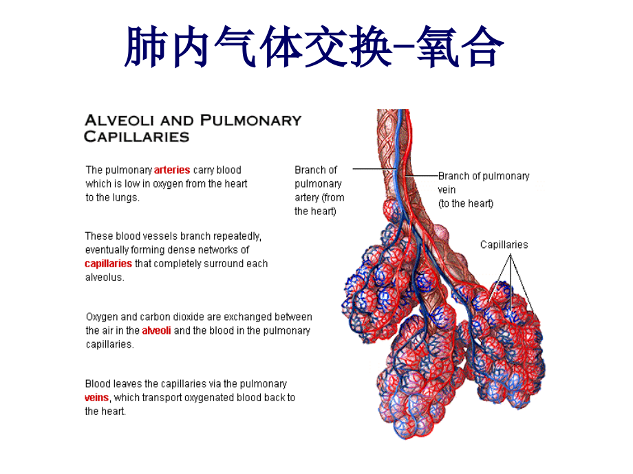 呼吸机的使用基本_第4页