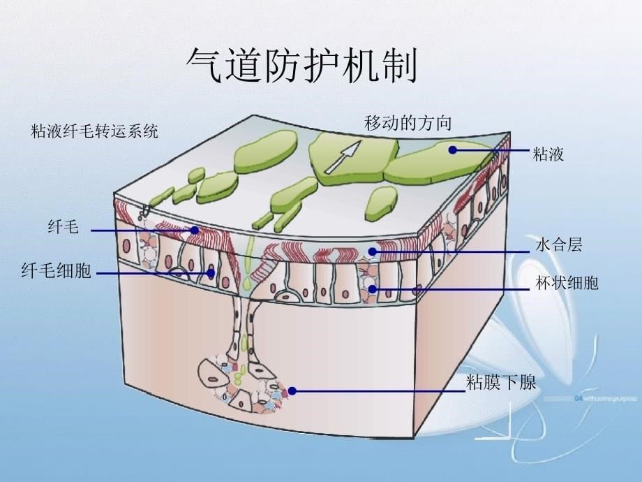 气道温湿化管理_第5页