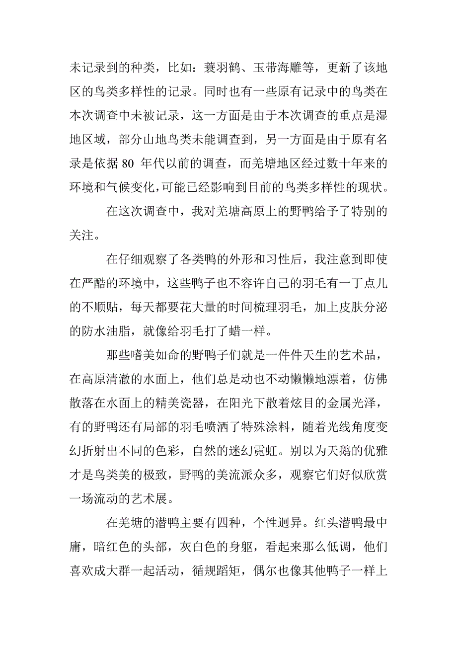 羌塘高原上的野鸭_第2页