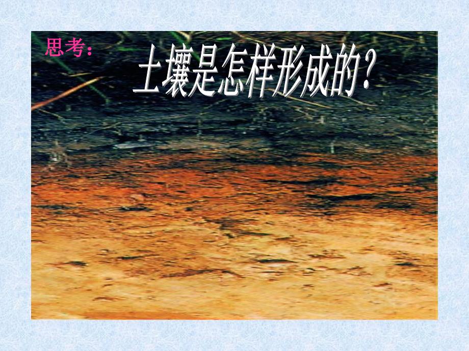 《土壤里有什么》课件1_第1页