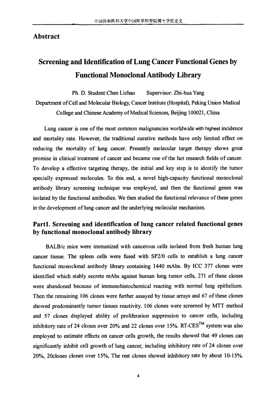 功能性抗体库技术分离鉴定肺癌功能性基因的研究_第4页