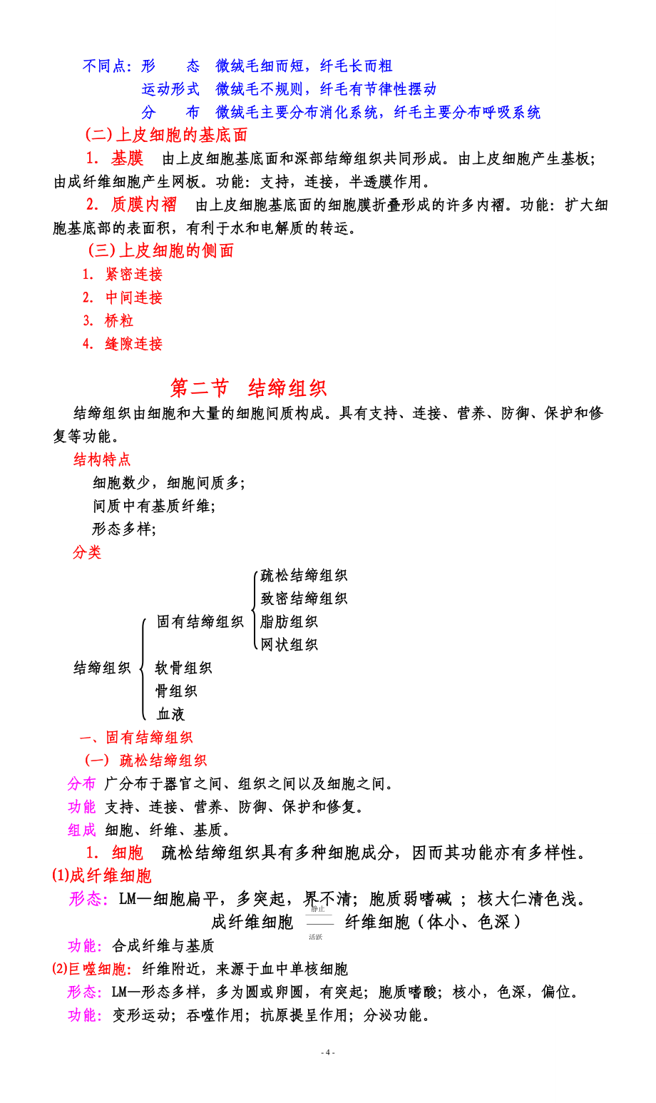 人体结构学备课笔记_第4页