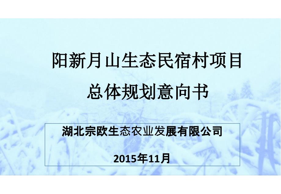 阳新月山生态民宿村项目总体规划意向书(项目申请稿)_第1页