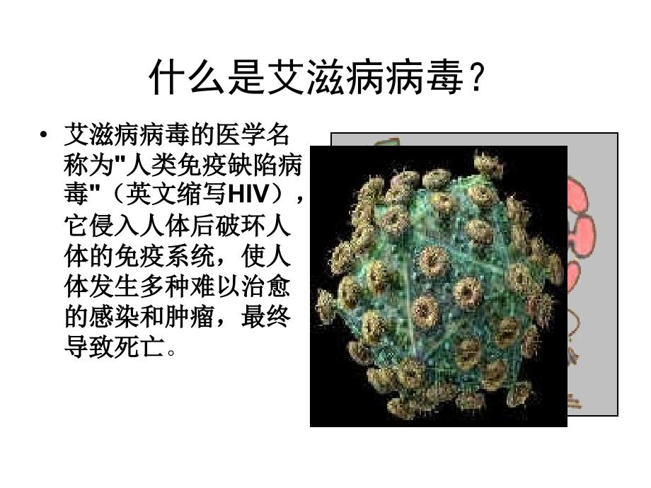 喷泉小学预防艾滋病宣传_第3页