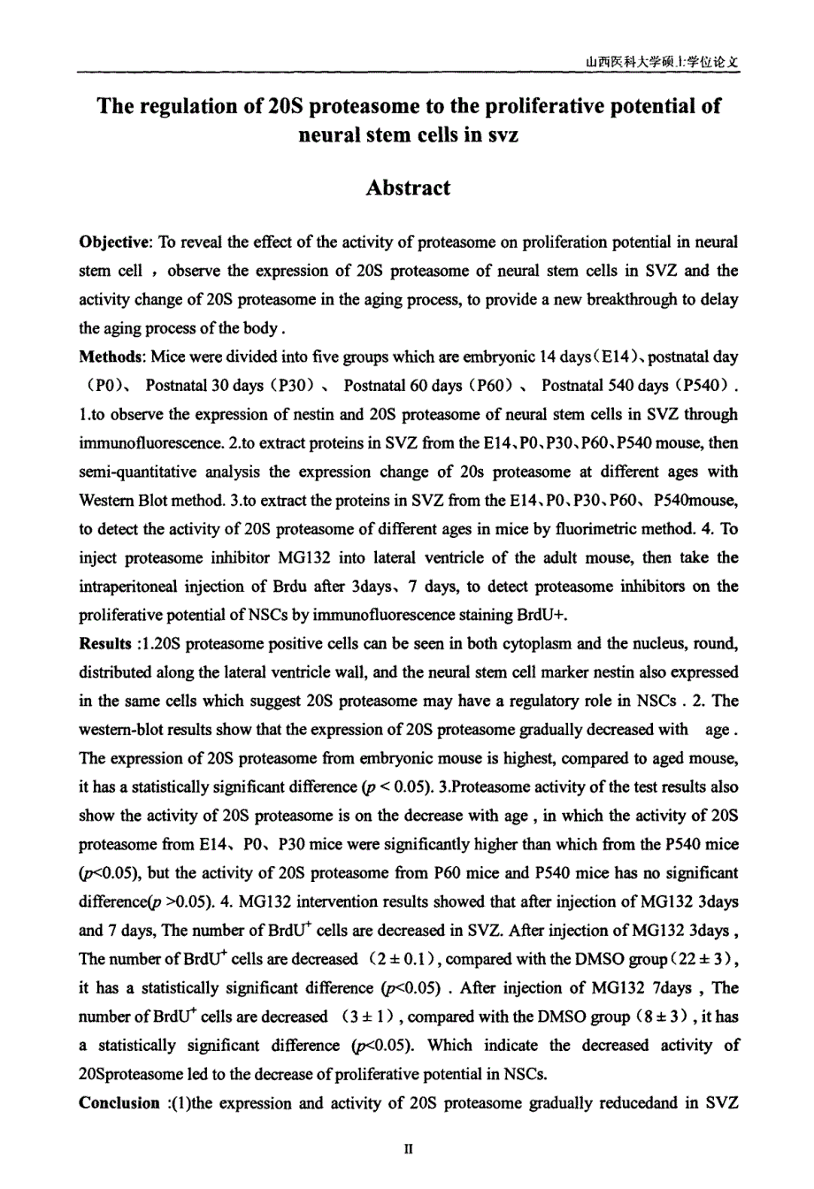 20S蛋白酶体对SVZ神经干细胞增殖潜能的调控作用_第2页