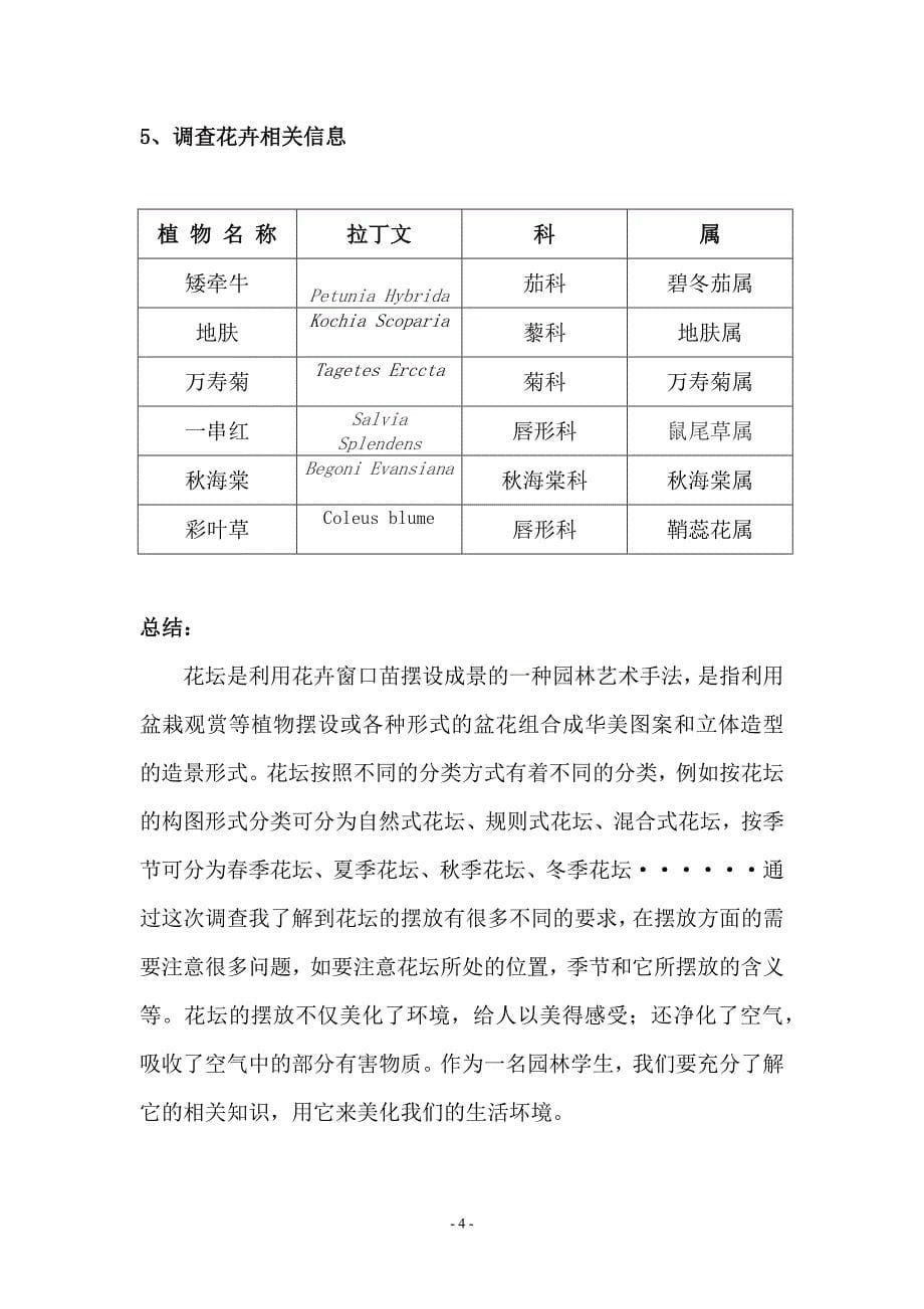 国庆花坛调查报告_第5页