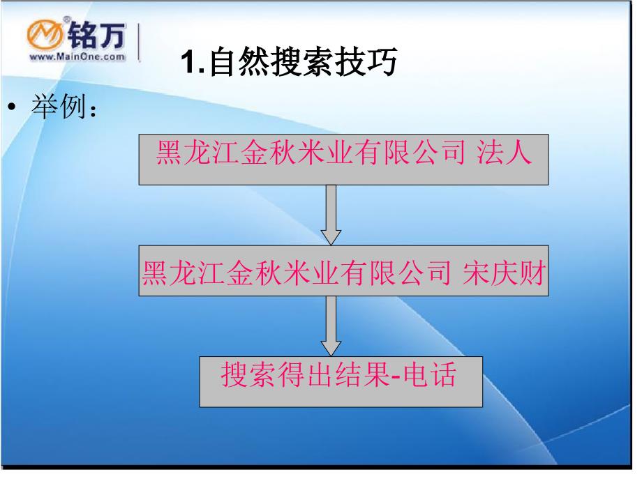 搜索引擎资料查询方法_第4页