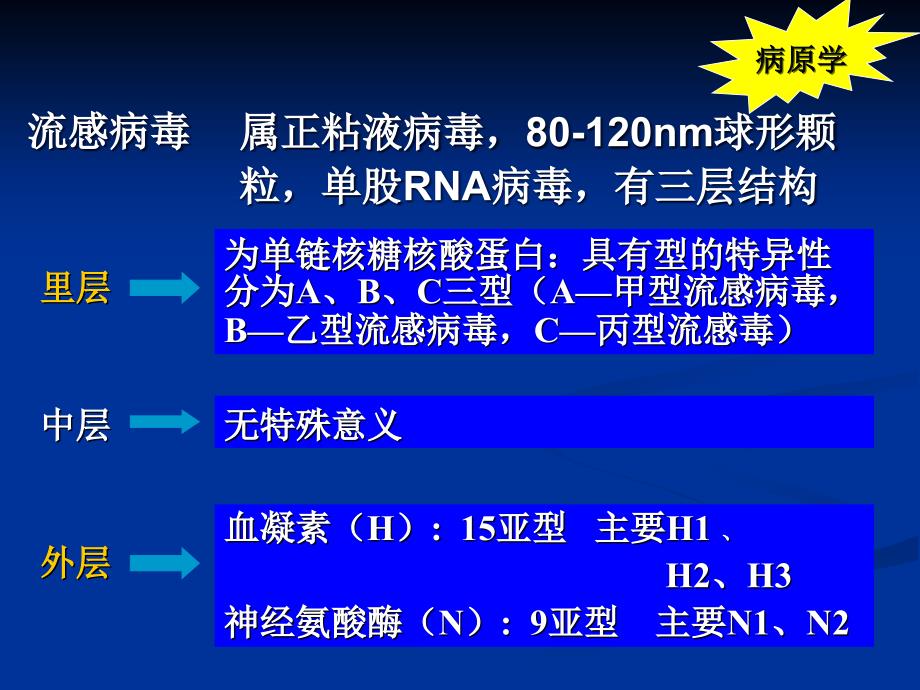 流行性感冒influenza_第4页