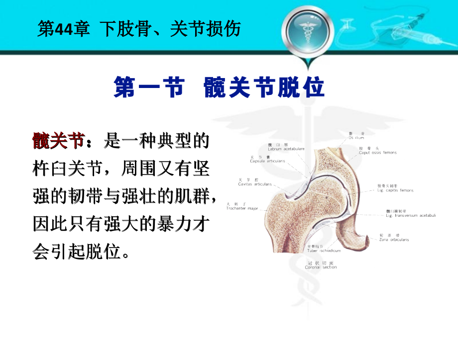 外科学下肢骨关节损伤_第3页