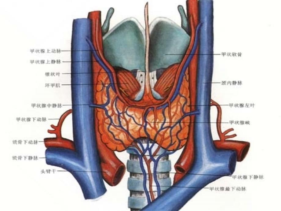 气管切开术及并发症的观察与护理_第4页