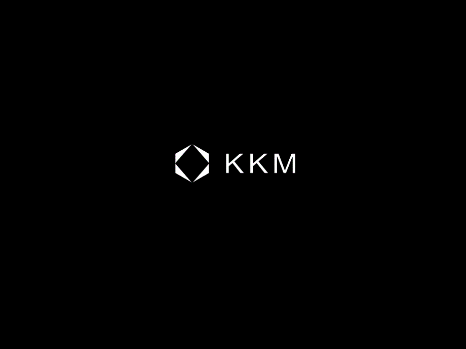 KKM-投资风格分析_第1页