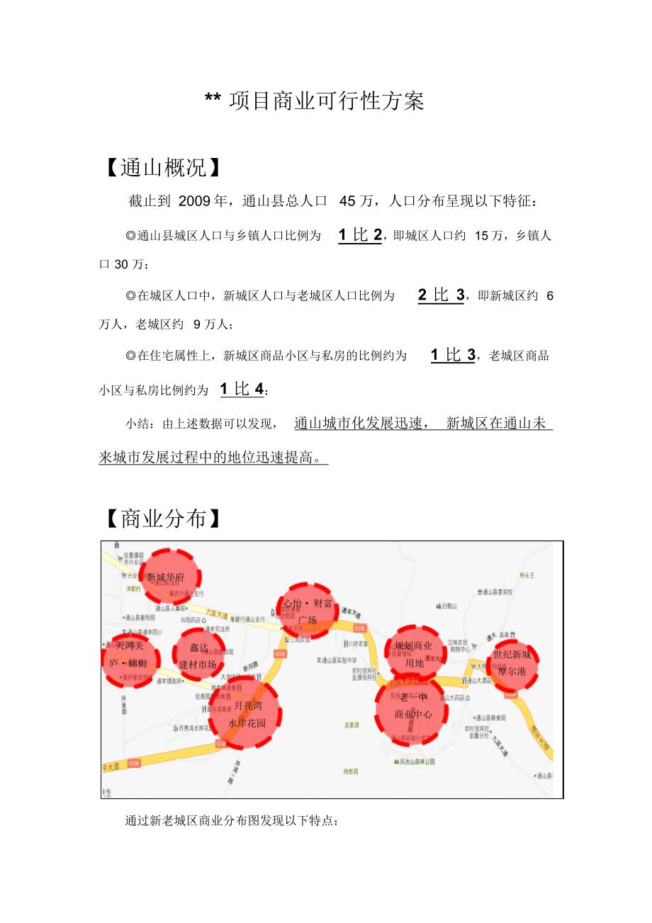 商业可行性报告_第1页