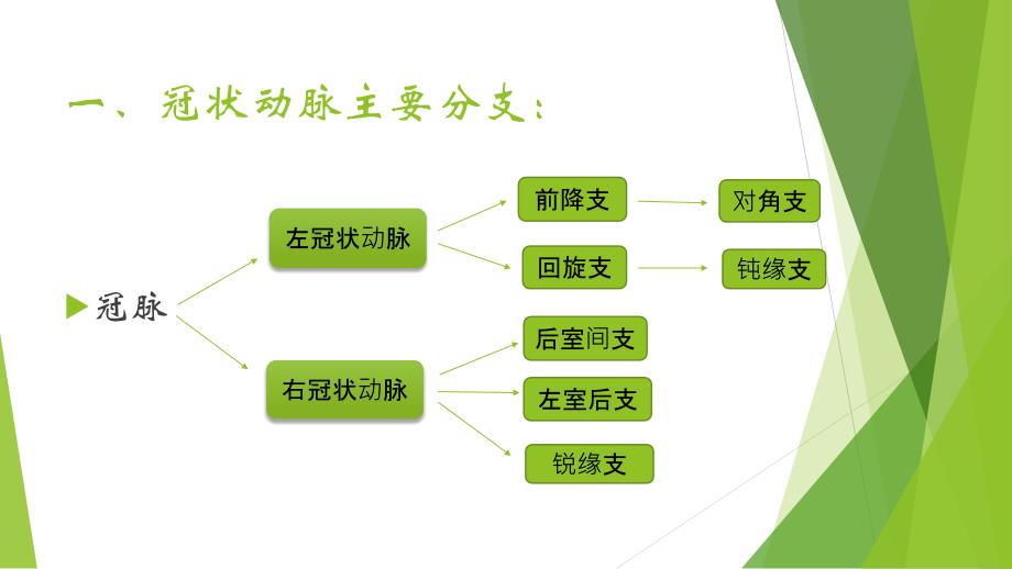 冠状动脉造影术与治疗_第3页