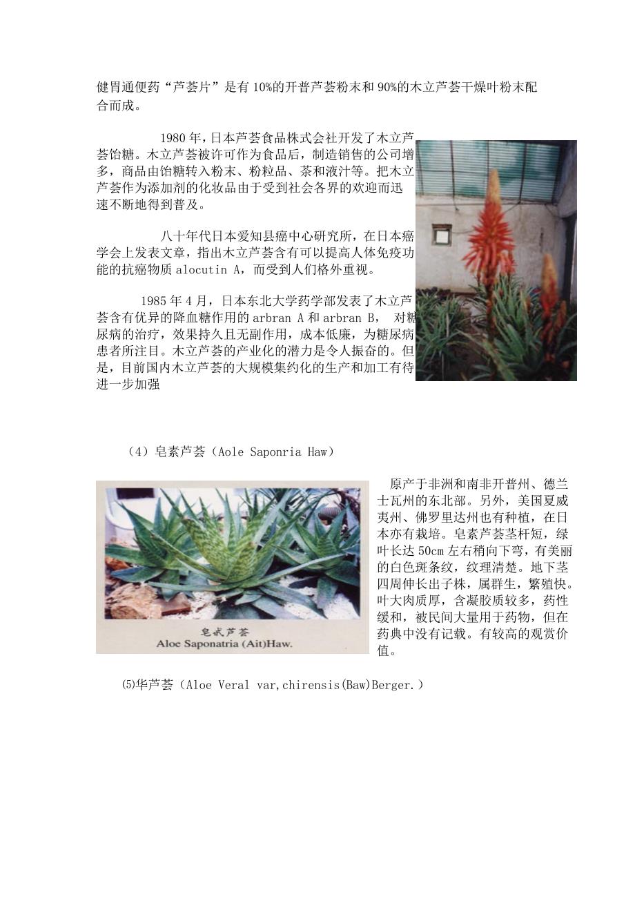 芦荟品种和分类_第3页