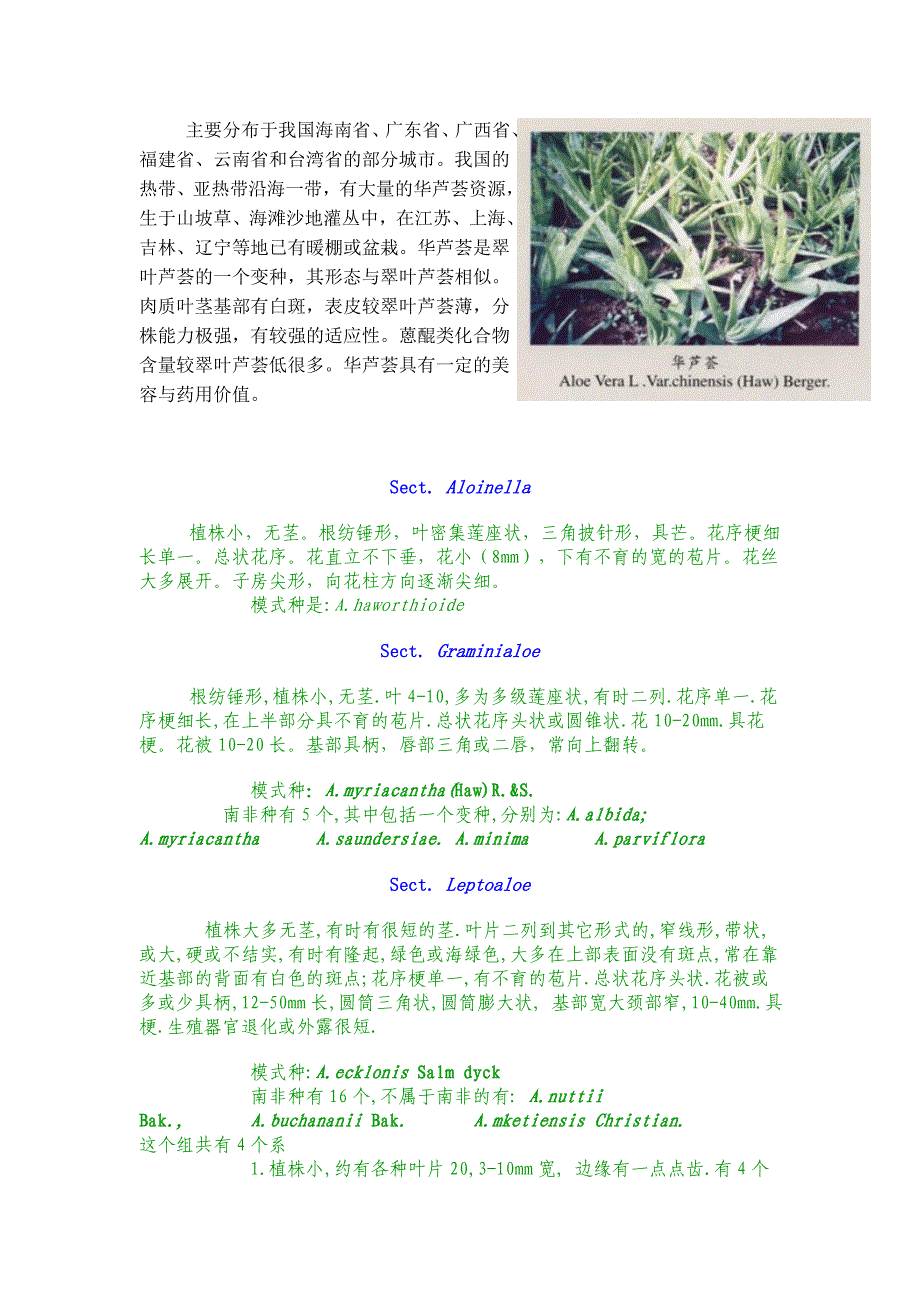 芦荟品种和分类_第4页