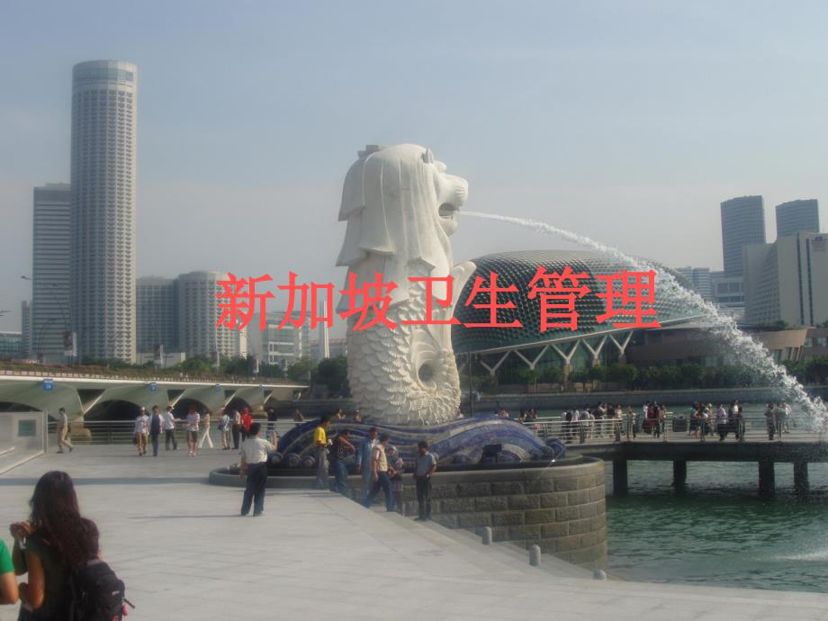 新加坡医院管理_第1页