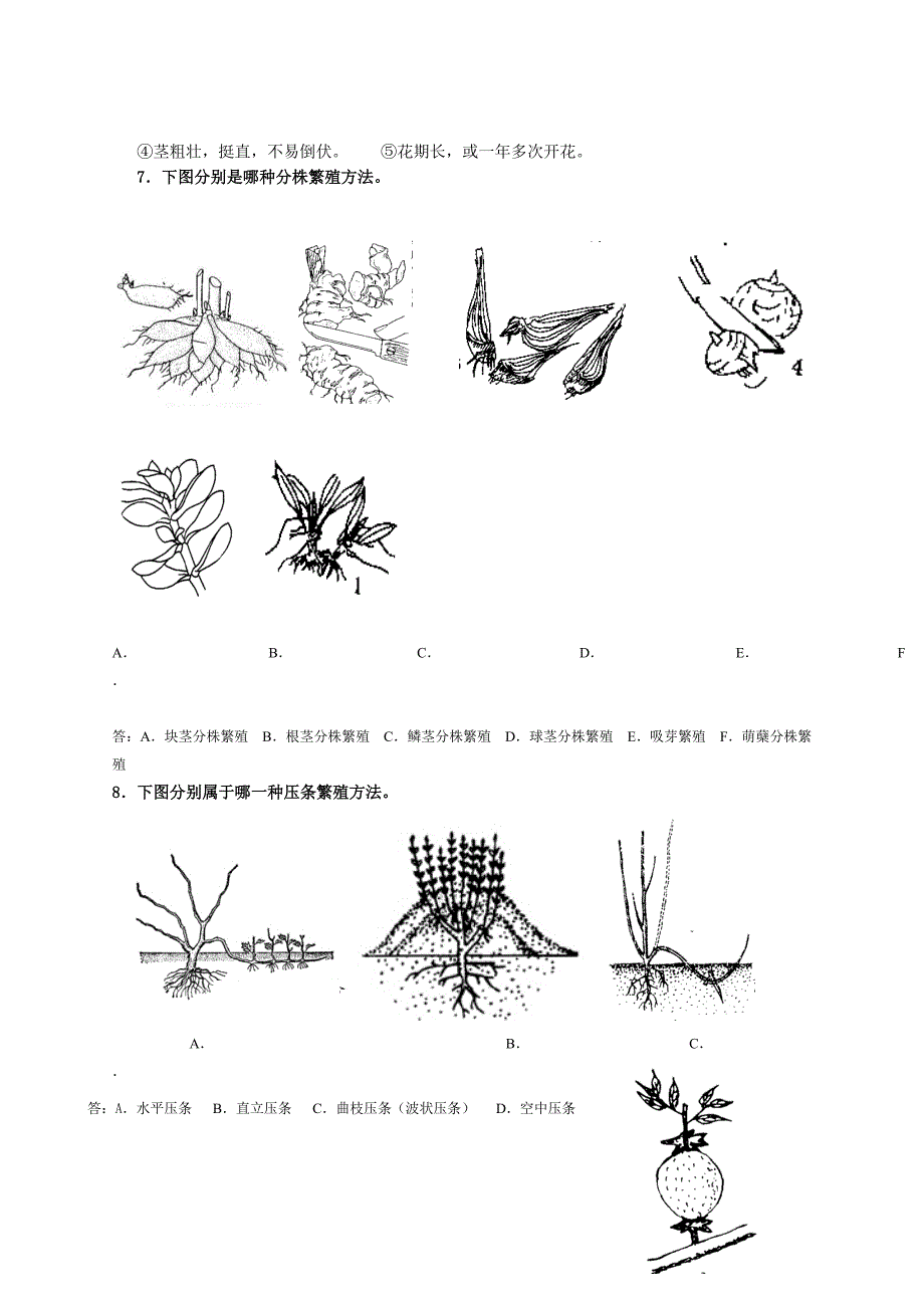 露地花卉生产复习题_第4页