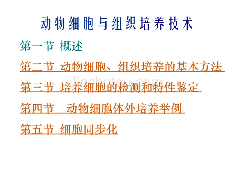 动物细胞培养技术_第1页