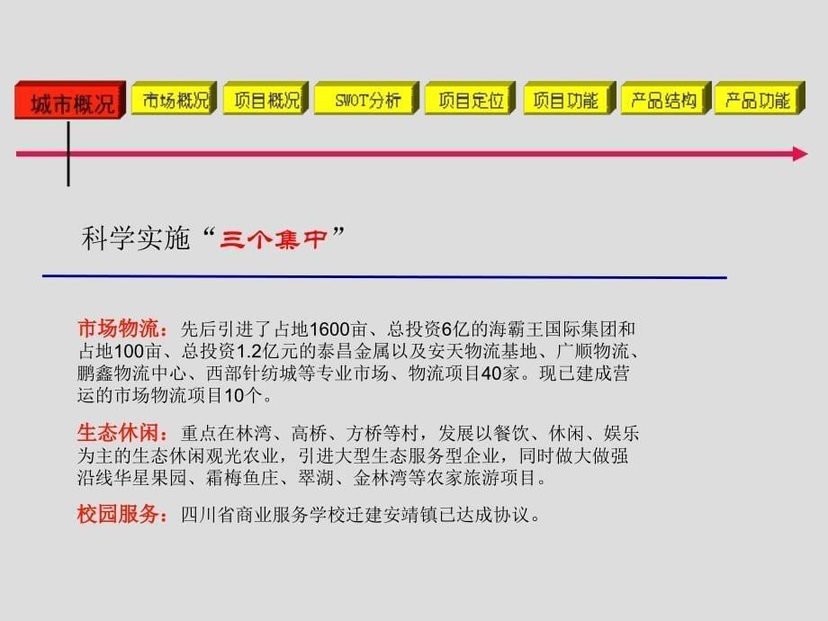 四川银郫县安靖镇项目产品建议(2007年--39页)_第5页