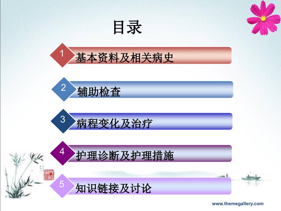 腹膜透析护理查房_第4页