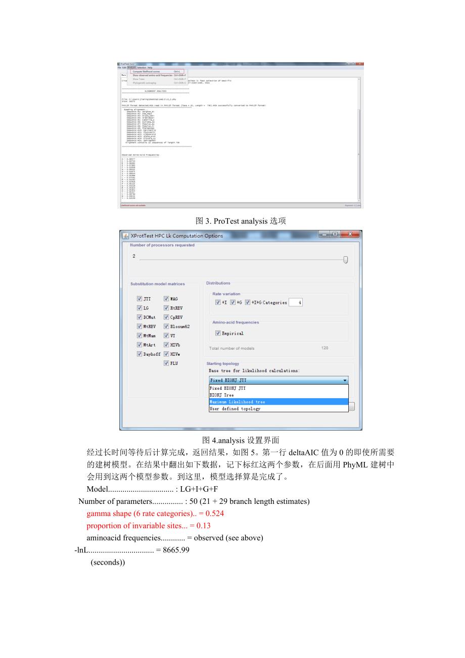 最大似然法构建分子进化树-phyml_第3页