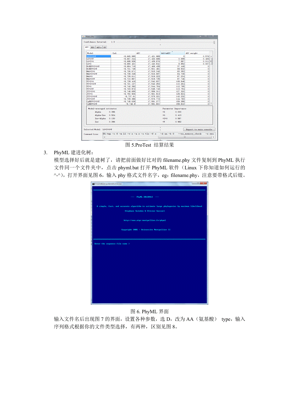 最大似然法构建分子进化树-phyml_第4页