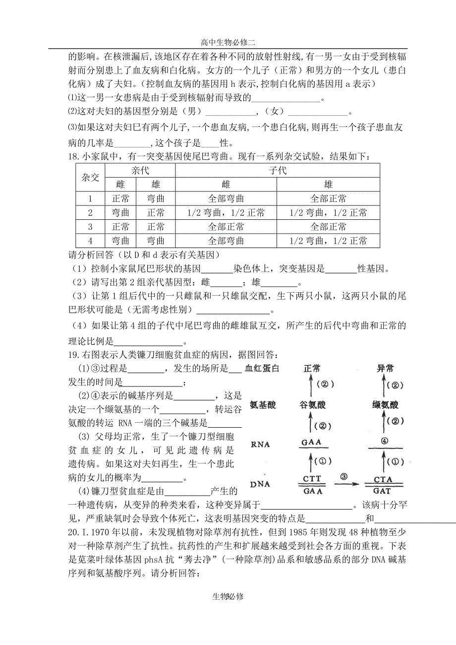 人教版试题试卷基因突变及其它变异 单元练习_第3页