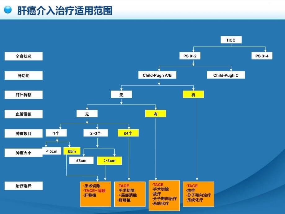 原发性肝癌诊疗规范之介入治疗_第5页