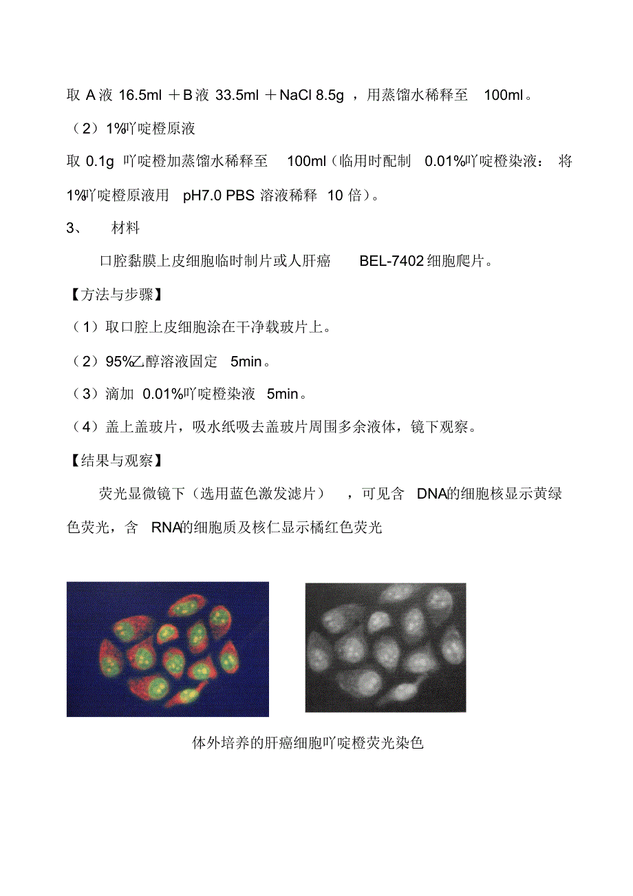 实验五荧光显微镜的使用和细胞的荧光染色_第2页