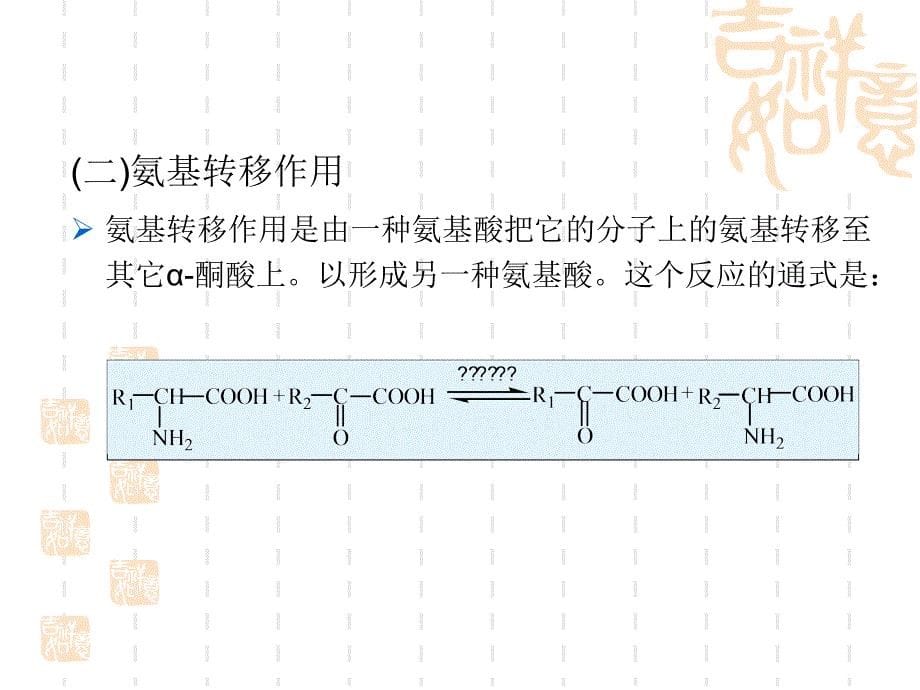 [理学]华南理工大学生物化学课件 第12章 蛋白质代谢_第5页