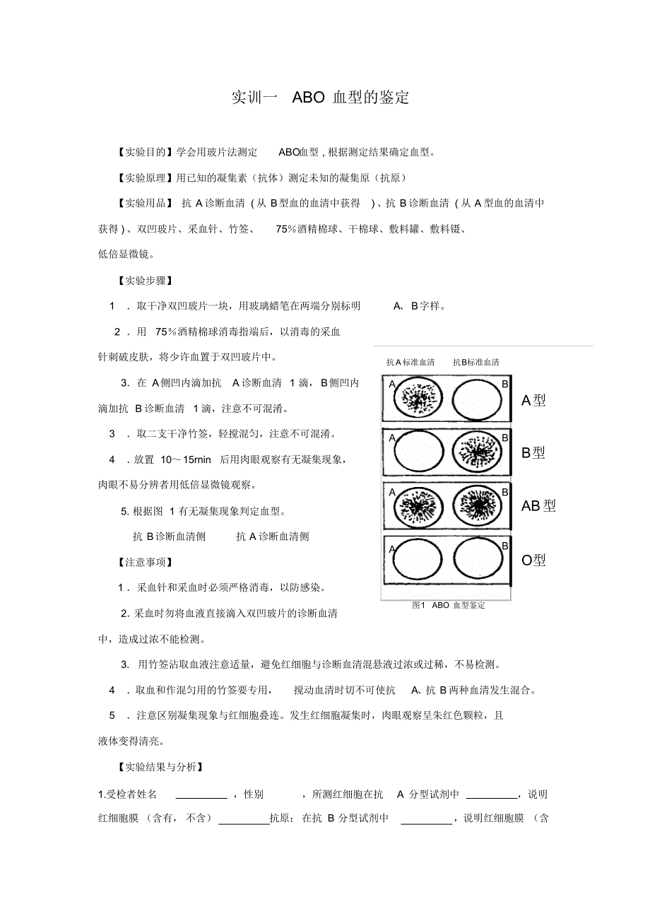 实训人体动脉血压的测量_第1页