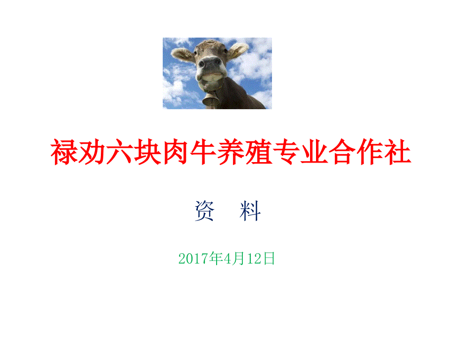 禄劝六块肉牛养殖(资料)_第1页