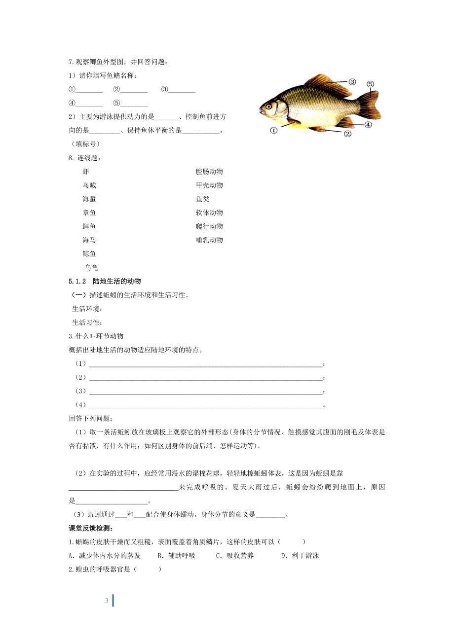 八年级动物教学案_第3页