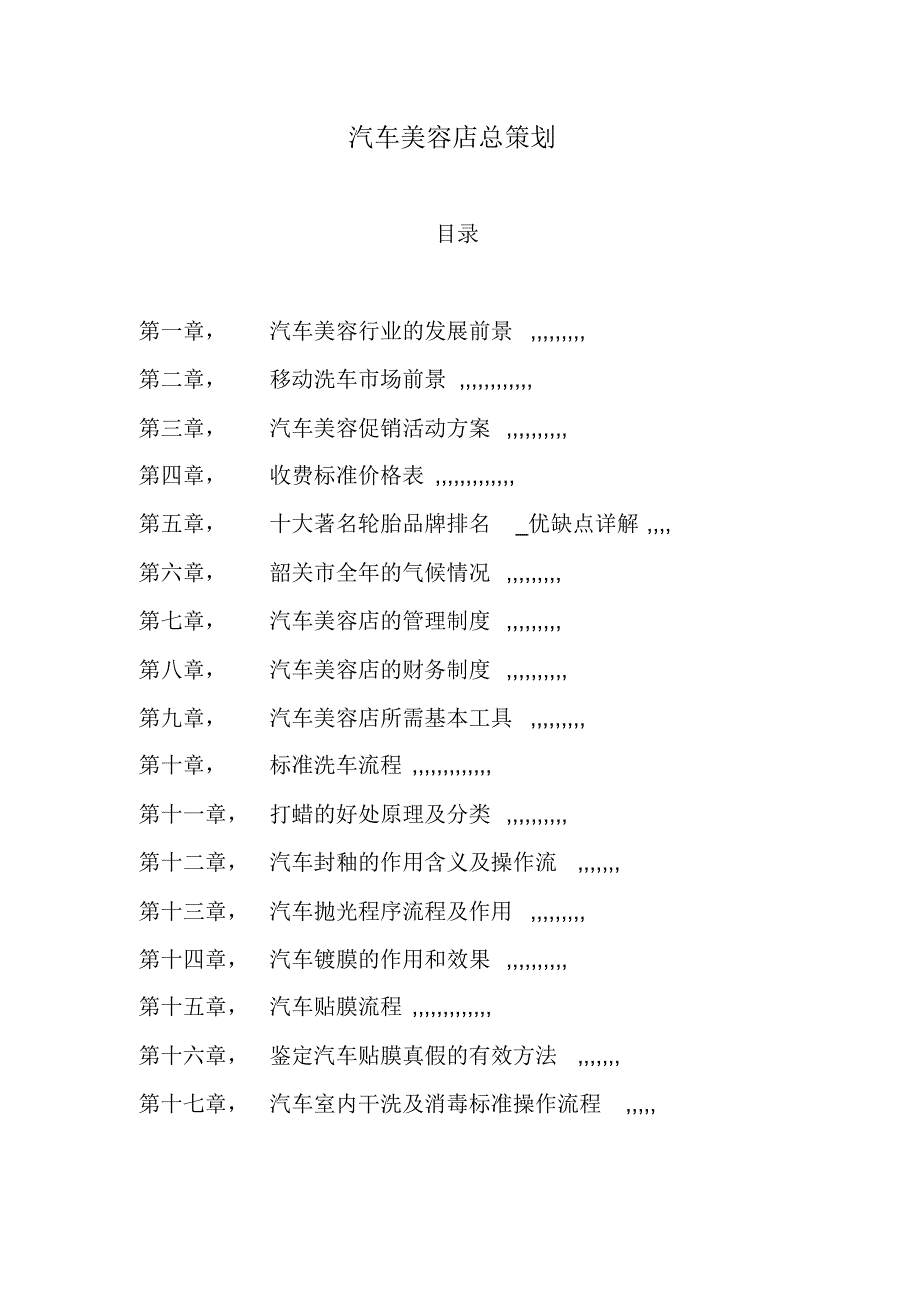 汽车美容总策划_第1页