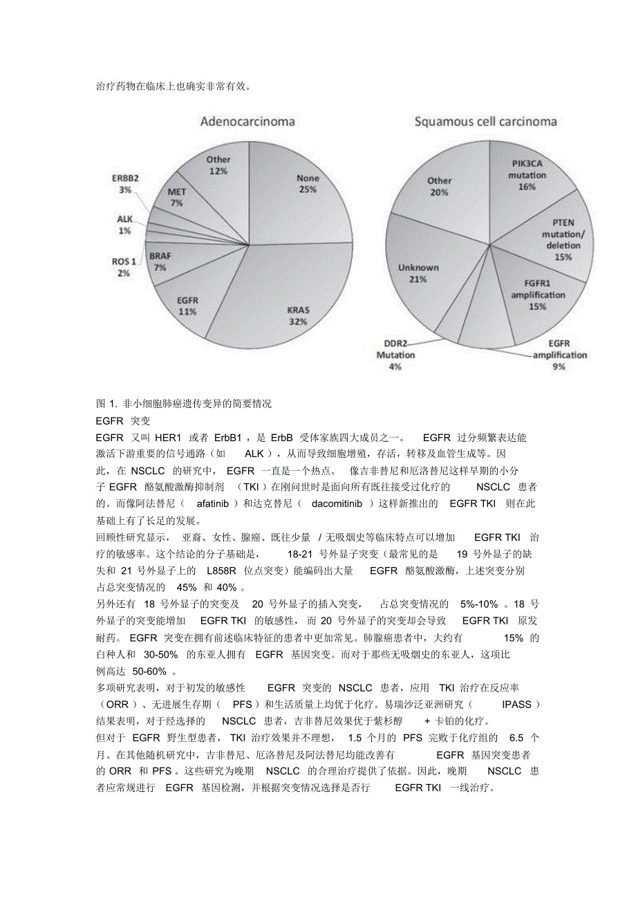 晚期非小细胞肺癌的靶向治疗(综述)_第2页