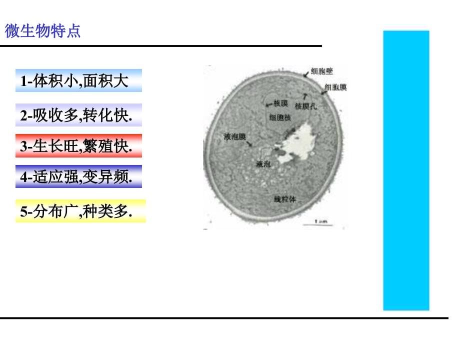 化妆品入职卫生培训_第5页