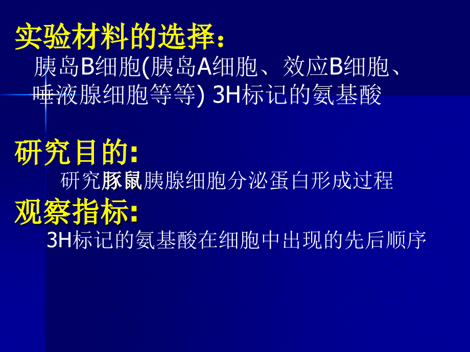 [高三理化生]生物膜的联系_第3页