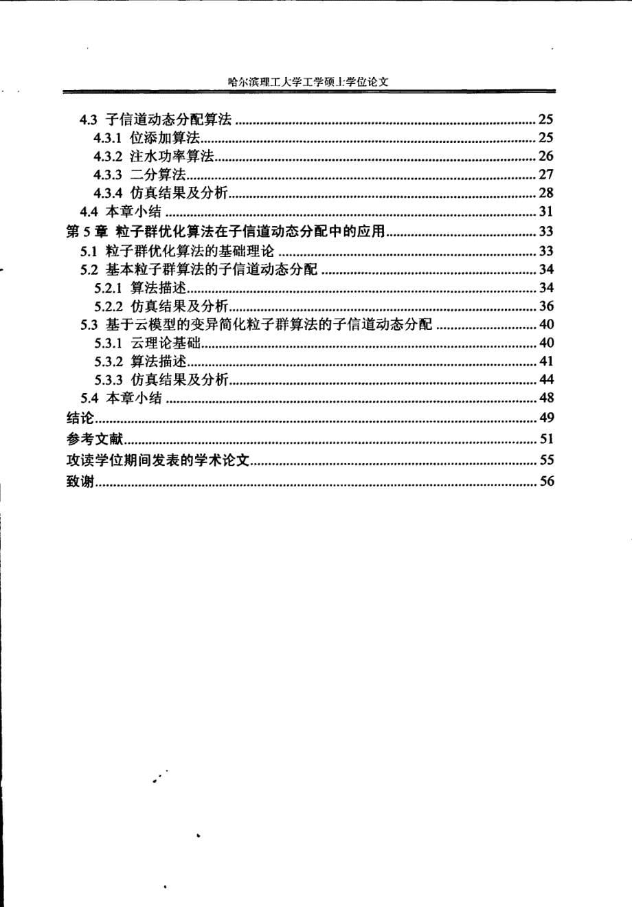 低压电力线OFDM系统子信道动态分配的研究_第5页