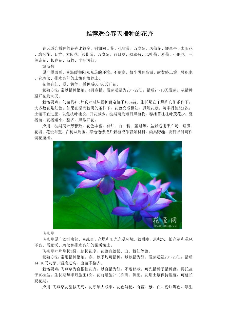 推荐适合春天播种的花卉_第1页