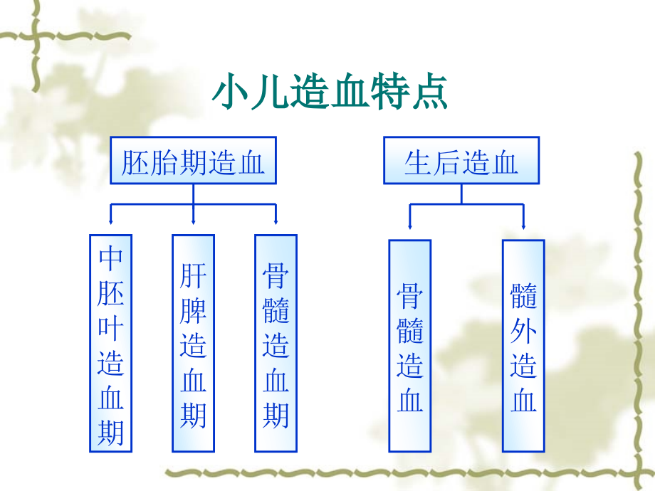 儿科护理学课件-8-造血系统疾病患儿的护理_第3页