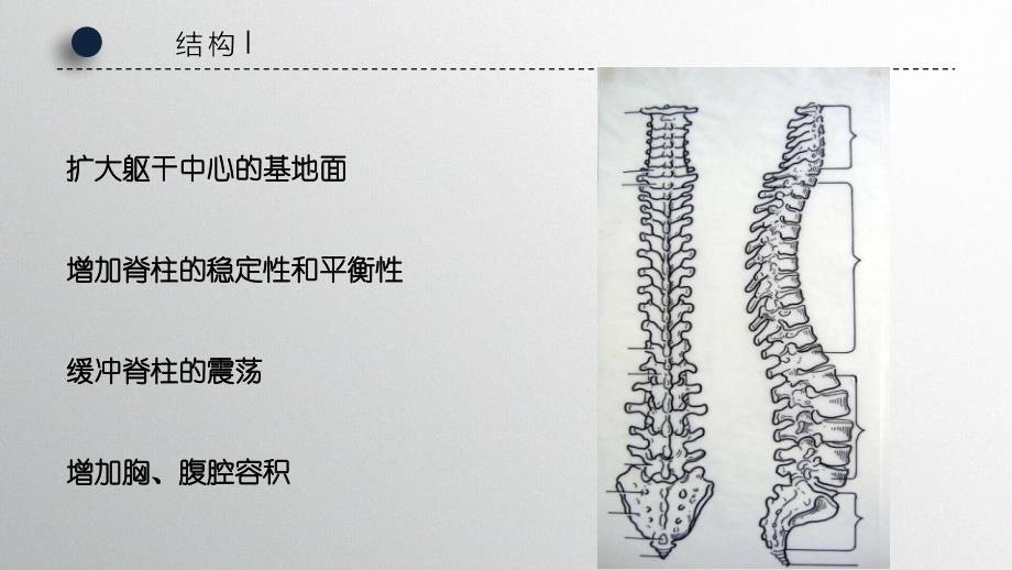 办公室保健、颈椎、腰椎预防_第4页