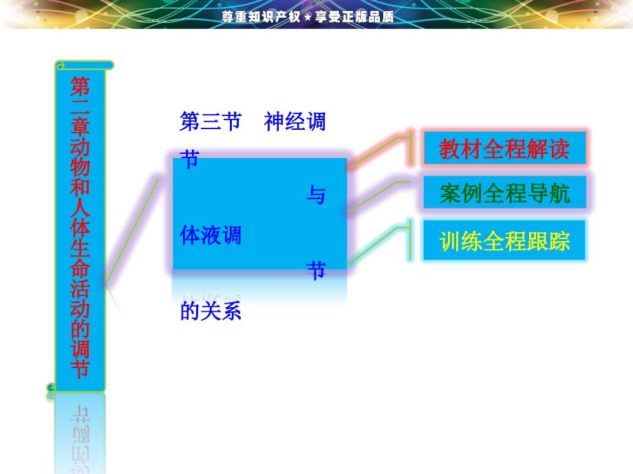 [高二理化生]第二章  第三节  神经调节与体液调节的关系_第2页