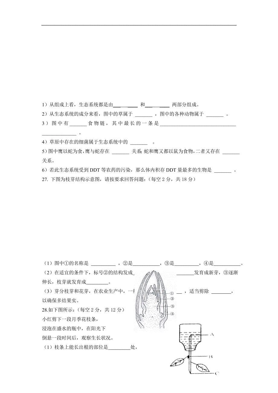 人教版七年级生物上学期期末测试题及参考答案三_第5页